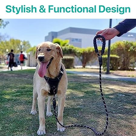 The Pet Factory Reflective Adjustable Pet Leash for Dogs and Cats| Durable and Comfortable| Strong Nylon with Padded Handle| Straps Dogs Perfect for Harness and Neck Collar Belts (1/3 inch x 4 feet,
