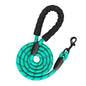 The Pet Factory Reflective Adjustable Pet Leash for Dogs and Cats| Durable and Comfortable| Strong Nylon with Padded Handle| Straps Dogs Perfect for Harness and Neck Collar Belts (1/3 inch x 4 feet,