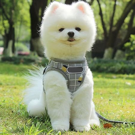 The Pet Factory Adjustable Comfort Harness for Dog and Cat |Reflective Harness Soft Padded Design |No-Pull & Easy to Fit |Durable and Breathable |Dog Harness for Outdoor Control All Size