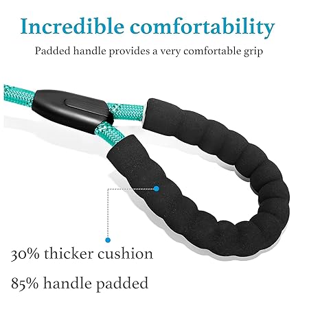 The Pet Factory Reflective Adjustable Pet Leash for Dogs and Cats| Durable and Comfortable| Strong Nylon with Padded Handle| Straps Dogs Perfect for Harness and Neck Collar Belts (1/3 inch x 4 feet,