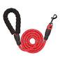 The Pet Factory Reflective Adjustable Pet Leash for Dogs and Cats| Durable and Comfortable| Strong Nylon with Padded Handle| Straps Dogs Perfect for Harness and Neck Collar Belts (1/3 inch x 4 feet,